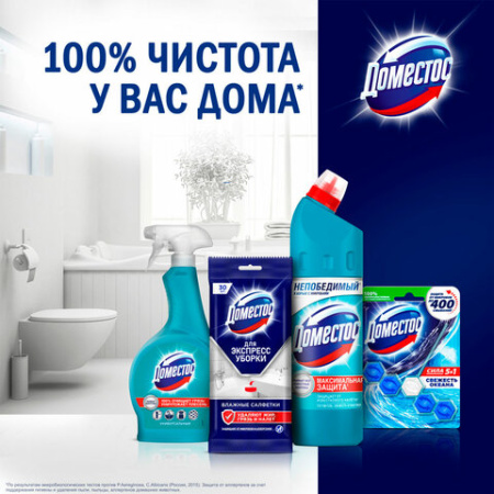 Блок туалетный подвесной твердый 40 г ДОМЕСТОС "Атлантик", основной блок