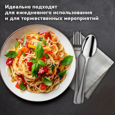 Набор столовых приборов PREMIUM 24 шт., 6 персон, серебристый, нержавеющая сталь, DASWERK (ДАСВЕРК), 609073