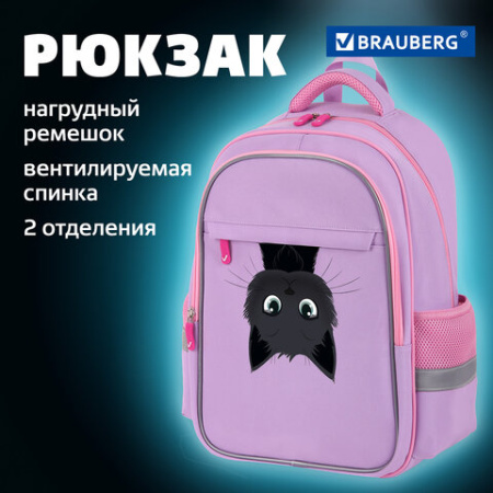 Рюкзак BRAUBERG FAVOUR, 2 отделения, 3 кармана, "Hide and seek", 40х29х15 см, 273122