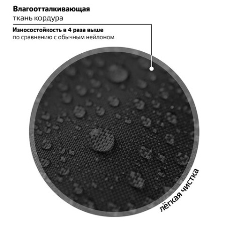 Ранец BRAUBERG QUADRO, 3 отделения, с брелоком, "Огненный паук", 37х28х18 см, 273106