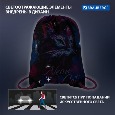 Мешок для обуви BRAUBERG PREMIUM, карман, подкладка, светоотражайка, 43х33 см, "Неоновый кот", 271621