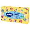 Салфетки косметические 100 штук в картонном боксе, 2-слойные, ZEMMA/ZEWA Everyday, 62861