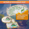 Набор для раскопок 12 видов динозавров, карточки, инструменты, развивающий, BRAUBERG KIDS, 664923