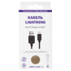 Кабель USB 2.0 – Lightning, 1 м, RED LINE, для подключения портативных устройств, черный, УТ000008646
