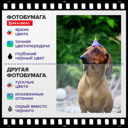Фотобумага матовая, А4, 230 г/м2, односторонняя, 100 листов, ПАКЕТ, BRAUBERG ORIGINAL, 364432
