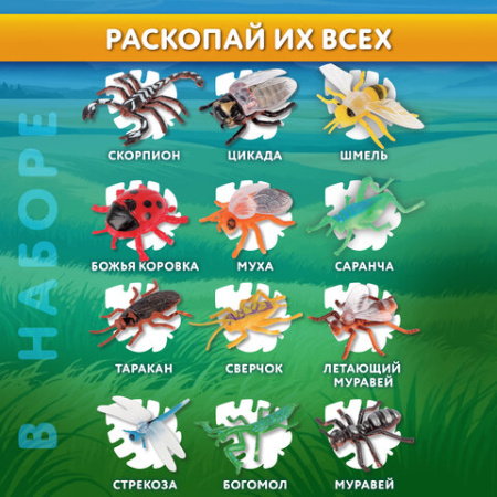 Набор для раскопок "Насекомые", 12 видов, карточки, инструменты, BRAUBERG KIDS, 665127