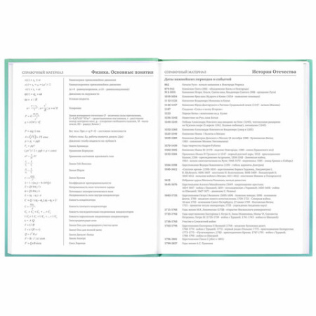 Дневник 5-11 класс 48 л., твердый, BRAUBERG, выборочный лак, с подсказом, "Гусь-джентльмен", 106884