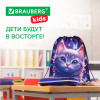 Мешок для обуви BRAUBERG KIDS, с петлей, 42х34 см, "Любознательный кот", 273434