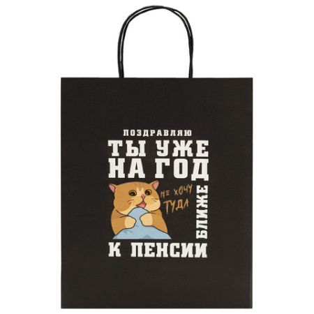 Пакет подарочный (1 штука) 26х13х32 см (L) "Funny Notes", ассорти, крафт, ЗОЛОТАЯ СКАЗКА, 700824