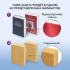 Сейф-книга "Экономическая мысль античности", 55х155х240 мм, ключевой замок, BRAUBERG, 291053