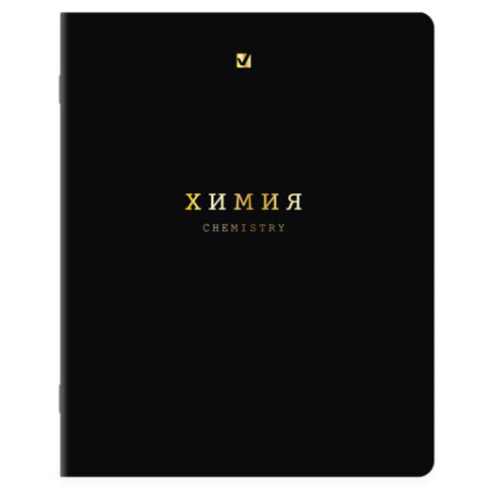 Тетради предметные, КОМПЛЕКТ 12 ПРЕДМЕТОВ, 48 л., Soft-Touch, 3D-фольга, BRAUBERG, "BLACK GOLD", 405602
