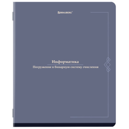 Тетради предметные, КОМПЛЕКТ 12 ПРЕДМЕТОВ, 48 л., SoftTouch, BRAUBERG "VINTAGE", 405183