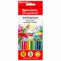 Карандаши цветные акварельные BRAUBERG Карандаши цветные акварельные BRAUBERG