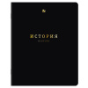 Тетради предметные, КОМПЛЕКТ 12 ПРЕДМЕТОВ, 48 л., Soft-Touch, 3D-фольга, BRAUBERG, "BLACK GOLD", 405602