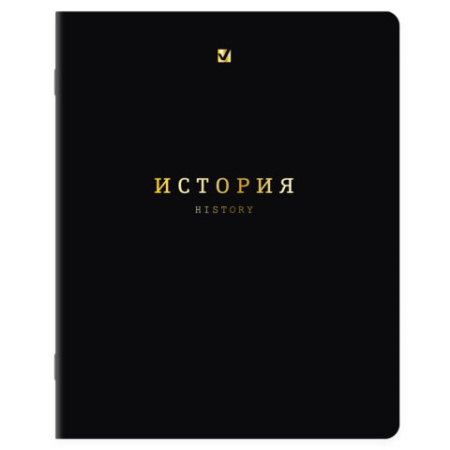 Тетради предметные, КОМПЛЕКТ 12 ПРЕДМЕТОВ, 48 л., Soft-Touch, 3D-фольга, BRAUBERG, "BLACK GOLD", 405602