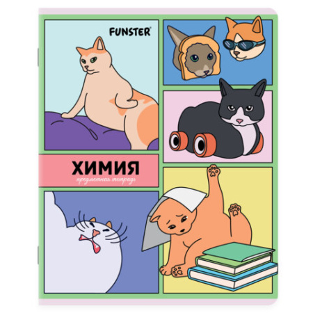 Тетради предметные, КОМПЛЕКТ 12 ПРЕДМЕТОВ, 48 л., TWIN-лак, FUNSTER (ФАНСТЕР), МЕМНЫЕ КОТЫ, 405604