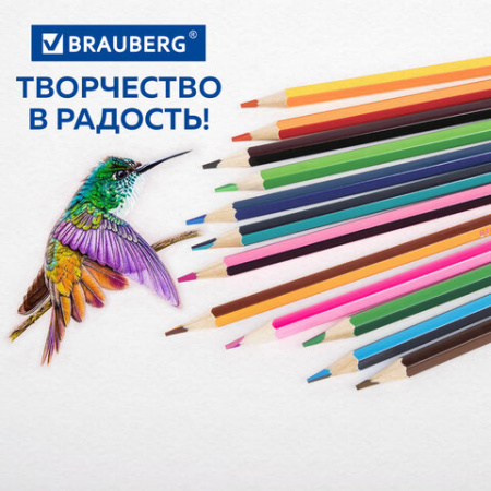 Карандаши с двухцветным грифелем BRAUBERG BICOLOUR, 12 штук, 24 цвета, шестигранные, грифель 3 мм, натуральное дерево, 181855