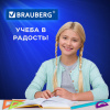 Набор чертежный большой BRAUBERG "FRUITY" (линейка 30 см, 2 треугольника, транспортир), пенал, 210772