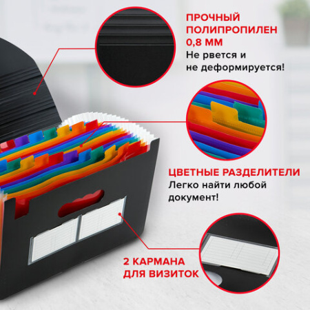 Папка-органайзер для бумаг и документов на резинке, 25 отделений, BRAUBERG DOCS, А4, черная, 271151