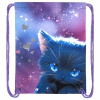 Мешок для обуви BRAUBERG PREMIUM, карман, подкладка, светоотражайка, 43х33 см, Anime cat, 272421