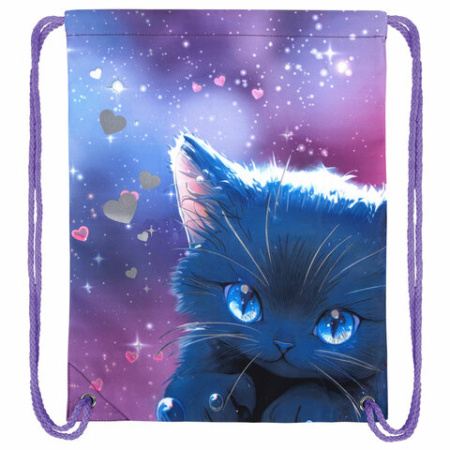 Мешок для обуви BRAUBERG PREMIUM, карман, подкладка, светоотражайка, 43х33 см, Anime cat, 272421