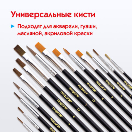 Кисти ПИФАГОР, набор 15 шт. (ПОНИ - 9 шт., СИНТЕТИКА - 4 шт., ЩЕТИНА - 2 шт., круглые, плоские), блистер, 200504