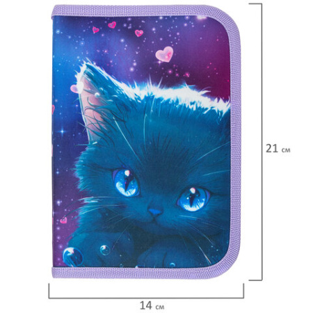 Пенал BRAUBERG, 1 отделение, 1 откидная планка, полиэстер, 21х14 см, "Anime cat", 272322