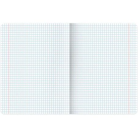 Тетрадь предметная "PASTEL" 48 л., SoftTouch, фольга, ИНФОРМАТИКА, клетка, BRAUBERG, 404315