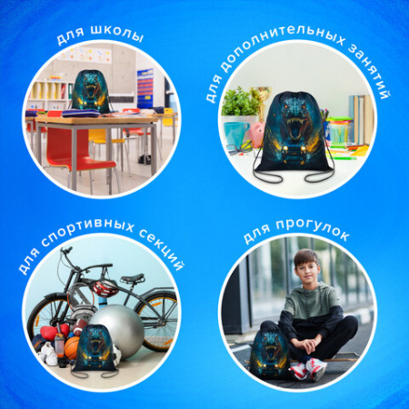 Мешок для обуви BRAUBERG KIDS, с петлей, 42х34 см, "Дино-погоня", 272416