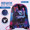 Мешок для обуви BRAUBERG PREMIUM, карман, подкладка, светоотражайка, 43х33 см, "Неоновый кот", 271621