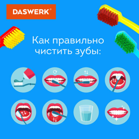 Зубные щетки, набор 6 штук, СРЕДНЕ-МЯГКИЕ (MEDIUM SOFT), DASWERK (ДАСВЕРК), 608214