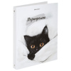 Папка-портфолио универсальная, 4 кольца, 20 файлов, 7БЦ матовая, BRAUBERG "Cat", 107557, 117557
