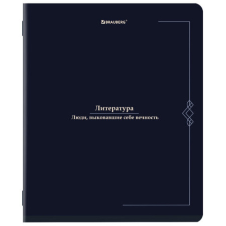 Тетради предметные, КОМПЛЕКТ 12 ПРЕДМЕТОВ, 48 л., SoftTouch, BRAUBERG "VINTAGE", 405183