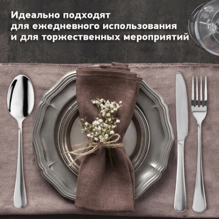 Набор столовых приборов PREMIUM 24 шт., 6 персон, серебристый, нержавеющая сталь, DASWERK (ДАСВЕРК), 609073