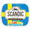 Драже освежающие SCANDIC без сахара со вкусом "Цитрусовый микс", 14 г, 4603738769889