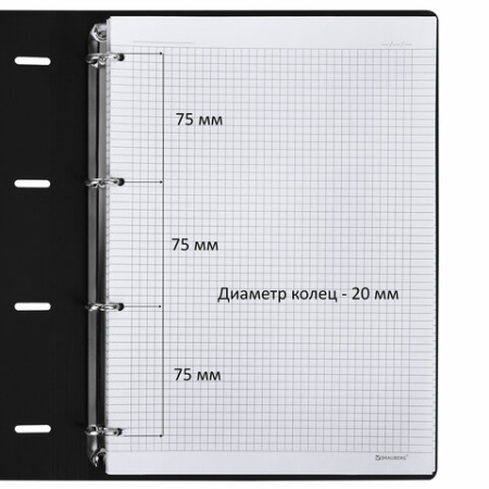 Тетрадь на кольцах БОЛЬШАЯ А4 (240х310 мм), 120 л., под кожу, BRAUBERG VISTA, Black, 404512