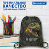 Мешок для обуви BRAUBERG PREMIUM, карман, подкладка, светоотражайка, 43х33 см, Dino attack, 272424