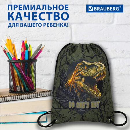 Мешок для обуви BRAUBERG PREMIUM, карман, подкладка, светоотражайка, 43х33 см, Dino attack, 272424