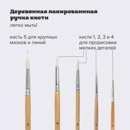 Кисти ПИФАГОР, набор 5 шт. (КОЗА: круглые № 1, 2, 3, 4, 5), блистер с европодвесом, 200887