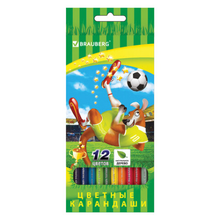 Карандаши цветные BRAUBERG "Football match", 12 цветов, шестигранные, грифель 3 мм, натуральное дерево, 180534