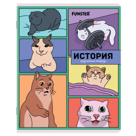Тетради предметные, КОМПЛЕКТ 12 ПРЕДМЕТОВ, 48 л., TWIN-лак, FUNSTER (ФАНСТЕР), МЕМНЫЕ КОТЫ, 405604