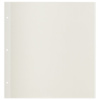 Листы для фотоальбома магнитные 30х32 см, КОМПЛЕКТ 10 шт., BRAUBERG, 391313