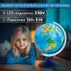 Глобус зоогеографический GLOBEN "Классик Евро", 25 см, с подсветкой, детский, Ке012500270