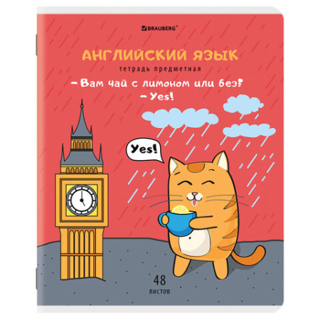 Тетради предметные, КОМПЛЕКТ 12 ПРЕДМЕТОВ, 48 л., TWIN-лак, BRAUBERG, "КОТ-ЭНТУЗИАСТ", 404609