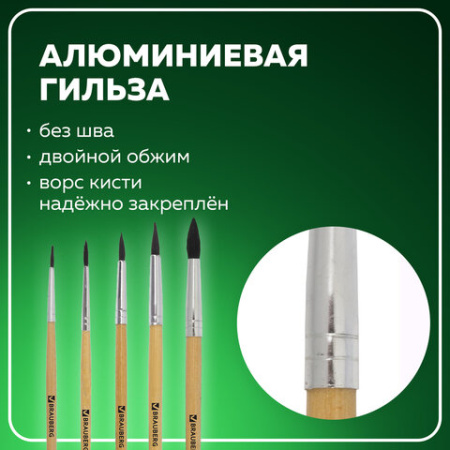 Кисти BRAUBERG, набор 5 шт. (белка, круглые № 1, 2, 3, 4, 5), блистер, 200217