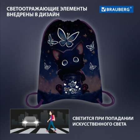 Мешок для обуви BRAUBERG PREMIUM, карман, подкладка, светоотражайка, 43х33 см, "Кот с бабочками", 273442