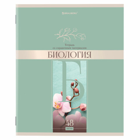 Тетради предметные, КОМПЛЕКТ 12 ПРЕДМЕТОВ, 48 л., обложка картон, BRAUBERG, "DELIGHT", 404606