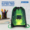 Мешок для обуви BRAUBERG PREMIUM, карман, подкладка, светоотражайка, 43х33 см, "Кибер-паук", 273444