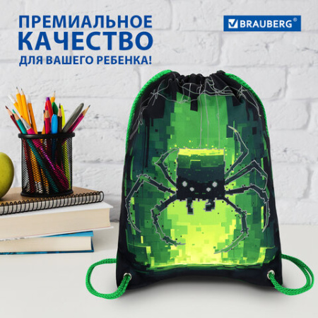 Мешок для обуви BRAUBERG PREMIUM, карман, подкладка, светоотражайка, 43х33 см, "Кибер-паук", 273444