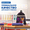 Мешок для обуви BRAUBERG, с петлей, светоотражающая полоса, 2 отделения, 46х36 см, "Леопард", 272395